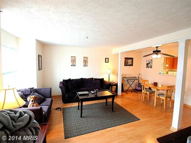 403 Banbury Terrace, Winchester, VA 22601 - photo 5