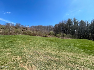 891 Belfast Mills Rd, Cedar Bluff, VA 24609 - photo 6