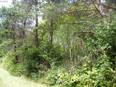 3273 SE Fleet Ave, Lincoln City, OR 97367 - photo 5