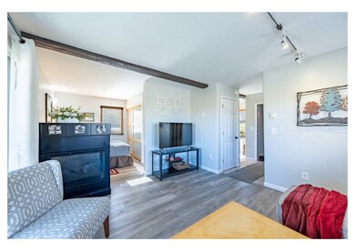Double-sided GAS fireplace separates living from p