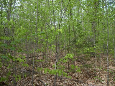 2-9 Mountain View Rd, Bristol, NH 03222 - photo 7