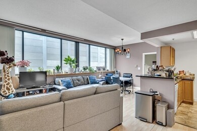 169 Monsignor Obrien Hwy unit 315, Cambridge, MA 02141 - photo 6