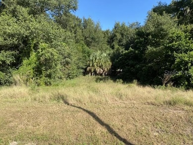 0 Us-441 S, Eustis, FL 32726 - photo 3