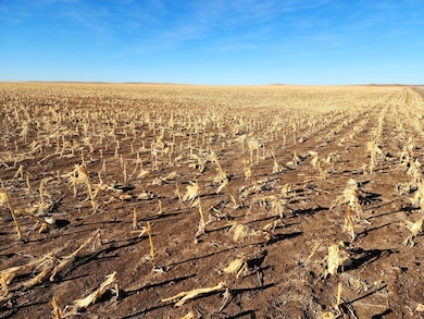 Road 33w, Bushnell, NE 69145 - photo 4