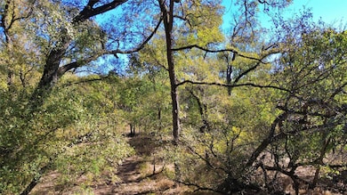 000 Bee Creek Rd, Grandview, TX 76050 - photo 3