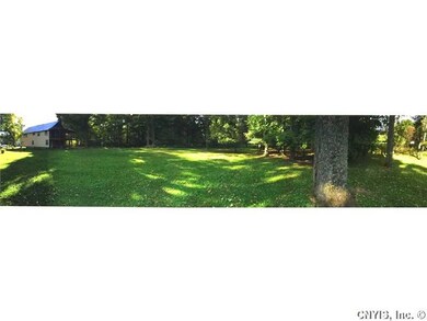 Backyard.