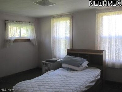 1000 Webster Rd, Jefferson, OH 44047 - photo 4