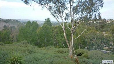 Unobstructed Views