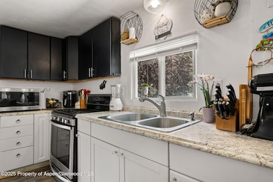 5033 County Road 335 unit 88, New Castle, CO 81647 - photo 6