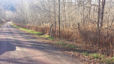 0 Siko Rd unit PWB155722, Honesdale, PA - photo 5