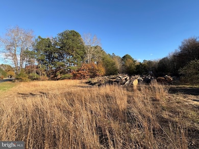 8385 Hurleys Neck Rd, Mardela Springs, MD 21837 - photo 2