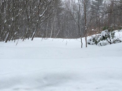 0 Bridgewater Hill Rd, Bridgewater, NH 03222 - photo 2