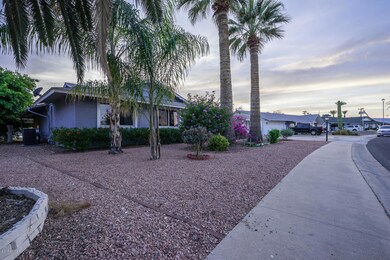 11244 N 109th Ave Sun City AZ-large-003-