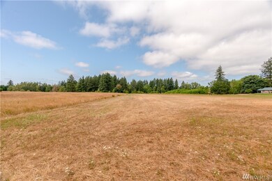 0 Howe Rd unit 1337679, Toledo, WA 98591 - photo 4