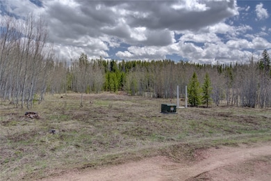 View of local wilderness with a view of trees