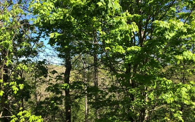 LT 26 Winding Creek Rd, Blue Ridge, GA 30513 - photo 3