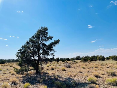 4752 Lasso Loop Photo 10