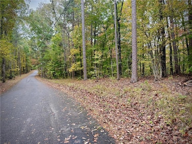 551 Harvey Fields Rd, Canton, GA 30114 - photo 6