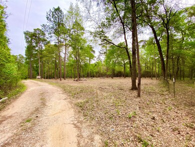 30118 Taylor Rd, Magnolia, TX 77354 - photo 5