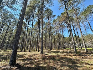 0 Morgan Rd, Canton, MS 39046 - photo 5