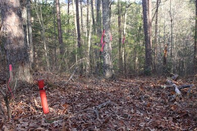 LT 8 Oak Creek Dr, Ellijay, GA 30536 - photo 5