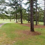 Quarter Mile Driveway