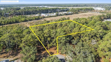 4002 Barnes Bluff Dr SE, Oak Island, NC 28461 - photo 6