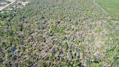 TBD Clearwater Creek Ln, Perry, FL 32348 - photo 6