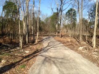 A view of the winding drive from the road.