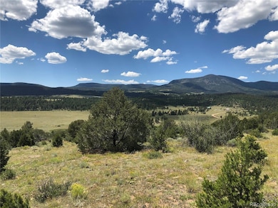 0 Rosebush Rd, Canon City, CO 81212 - photo 5