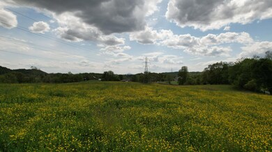 DJI_0230