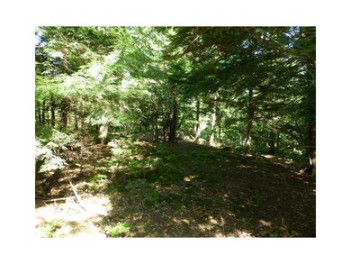 0 Stonewood Ln, Parsonsfield, ME 04047 - photo 5