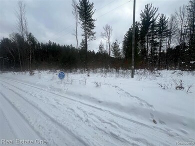 V/L 1 Mile Rd, Ellsworth Township, MI 49655 - photo 2