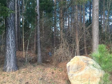 0 Mt Carmel Cir unit 61 3154794, Denver, NC 28037 - photo 5