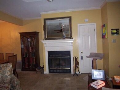Nice fireplace in the 20x12 Living Room.