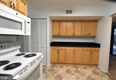9721 Kings Crown Ct unit 202, Fairfax, VA 22031 - photo 7
