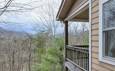 Additional View