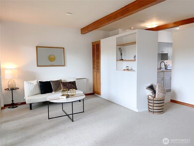 The living room also has closet space and display shelves.