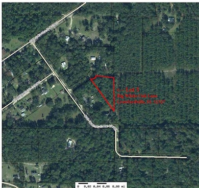 5 Oak St, Crawfordville, FL 32327 - photo 3