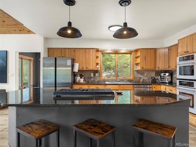 9459 S Turkey Creek Rd, Morrison, CO 80465 - photo 5