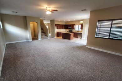 13212 Primrose New Custom Carpet
