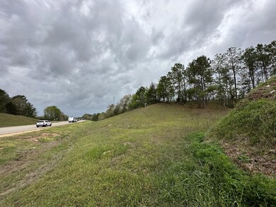 Tract#6103 E Lloyd Mill Rd, Other, AL 00N/A - photo 5