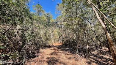 0 Old Hwy 49 unit 4128354, Saucier, MS 39574 - photo 6