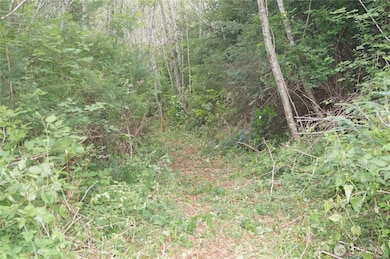 Trail on the ridgeline.