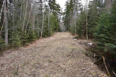 00 Willoughby Lake Rd, West Glover, VT 05822 - photo 7