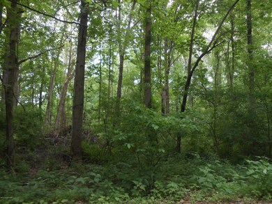 1 Davis Ct, Stroudsburg, PA 18360 - photo 2