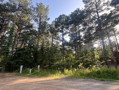 View of nature