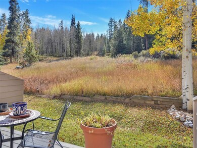 283 Kestrel Ln unit 283, Silverthorne, CO 80498 - photo 2