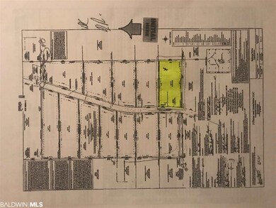 32534 County Road 64 Extension, Robertsdale, AL 36567 - photo 5