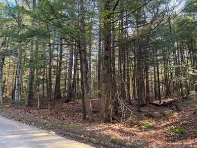 Lot 7 Hermit Woods Rd, Sanbornton, NH 03269 - photo 2